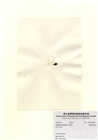 藏品(重緣葉馬尾藻)的圖片